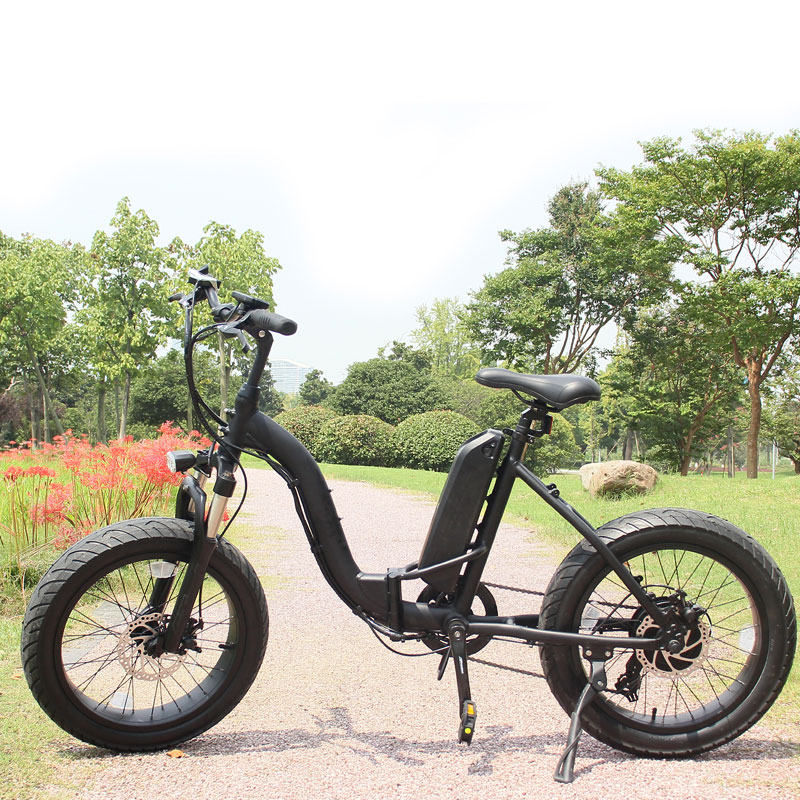 48v 500w Folding Frame Brushless Motor 10ah Lithium Battery Folding Electric Bike Women Mountain City Ebike