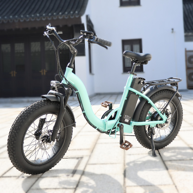 20 Inch Customizable Folding Electric Bicycle