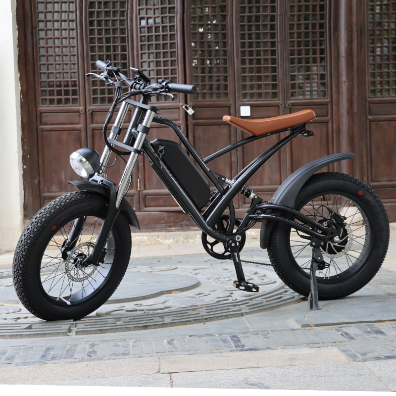 Most popular in europe 36V 48V 350W 500W 750W Power China Cheap Full Suspension Retro Vintage E Bike Ebike Dirt Mountain Fat Tire Bicycle Electric Bike