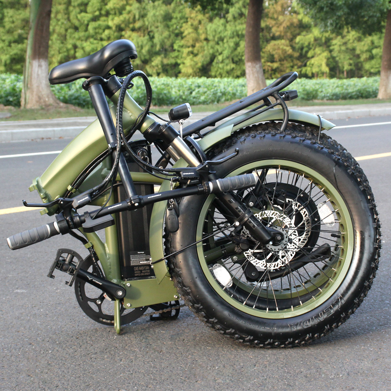 20 inch 48v 1000w electric bike manufacturer
