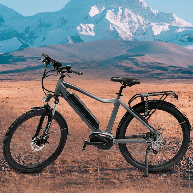 500w electric bike for sale