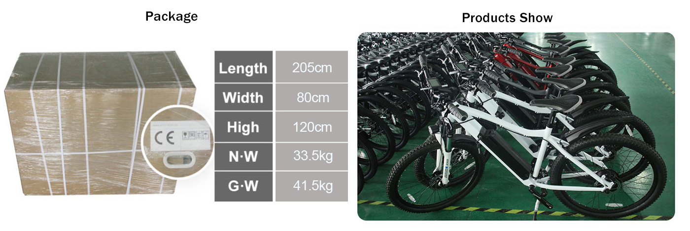 Electric bike manufacturer Electric bike manufacturer