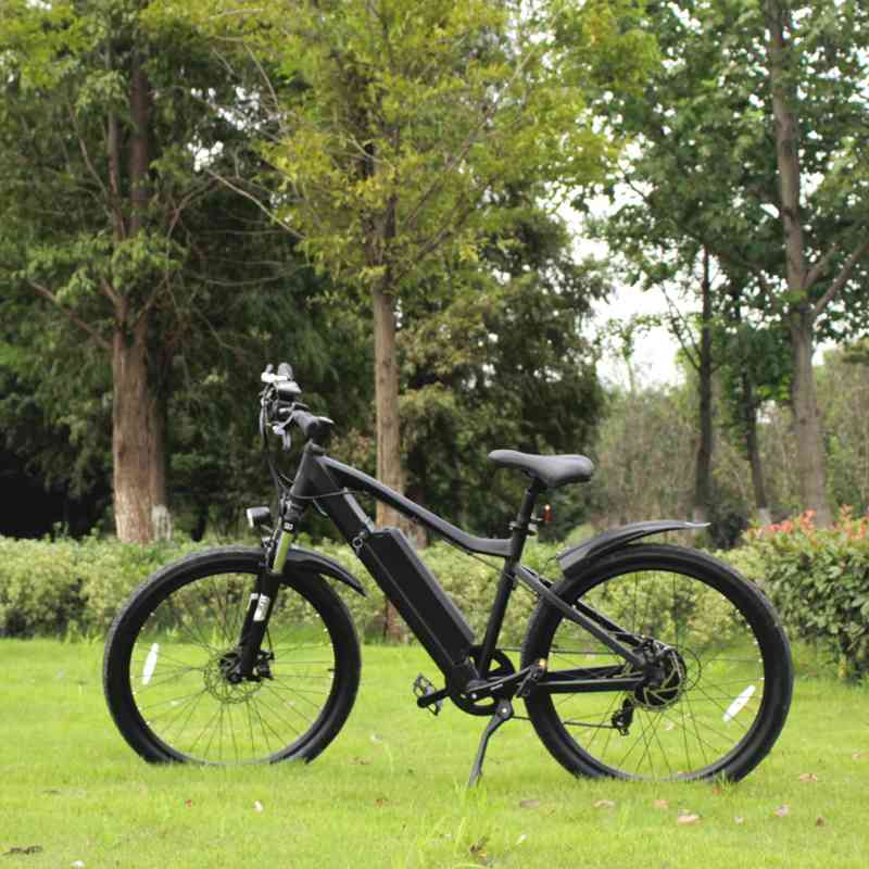 500w electric bike for sale